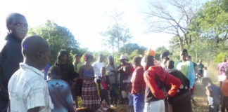 Death amidst meal for lions in Hwange.