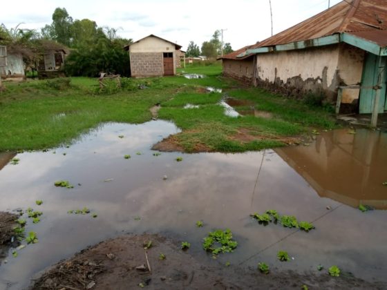 Flooded compounds in Budalangi.