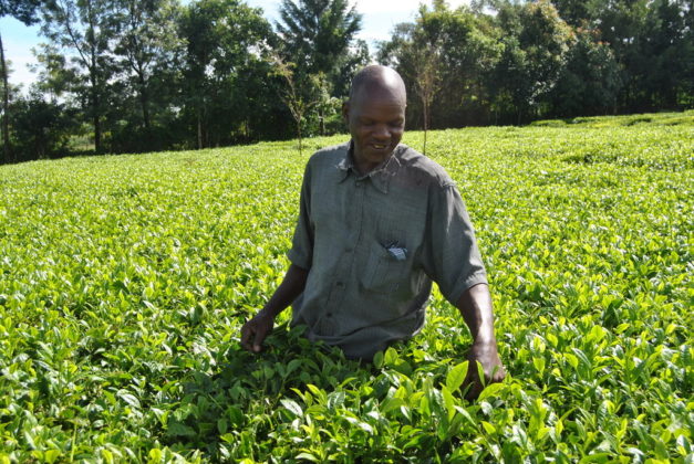 The coronavirus outbreak has forced many to stay home, driving up the demand for tea.