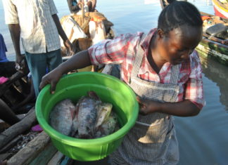 The coronavirus outbreak stops Chinese fish imports, as business booms for Kenyan fish traders.