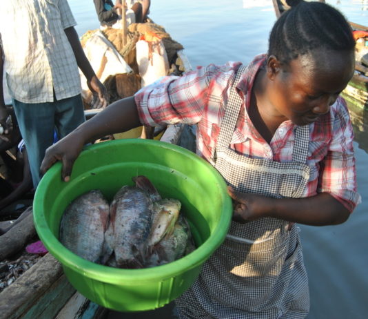 The coronavirus outbreak stops Chinese fish imports, as business booms for Kenyan fish traders.