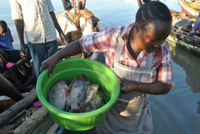 The coronavirus outbreak stops Chinese fish imports, as business booms for Kenyan fish traders.