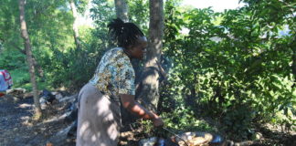 The coronavirus outbreak stops Chinese fish imports, as business booms for Kenyan fish traders.