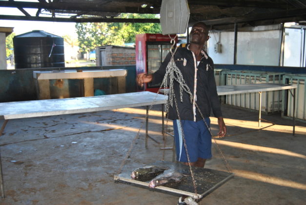 The coronavirus outbreak stops Chinese fish imports, as business booms for Kenyan fish traders.