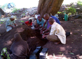 Tree planting.