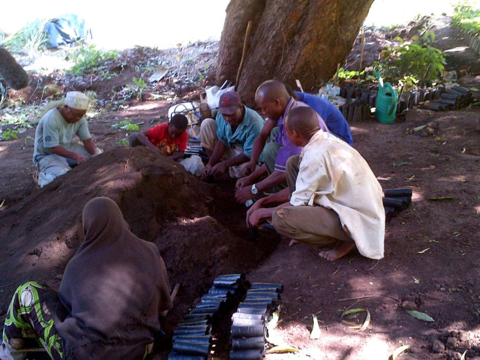 Tree planting.