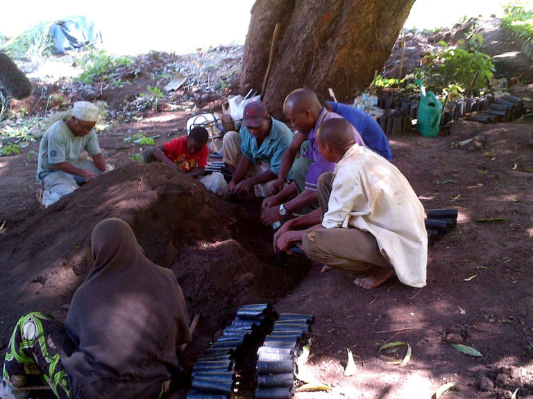 Indigenous communities in Tanzania map own land to deter foreign grabbers