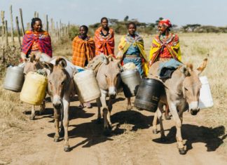 Donkeys Helping Maasai Women fetch water