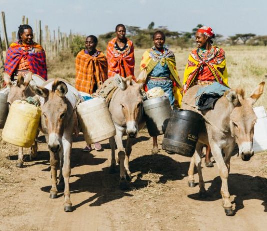 Donkeys Helping Maasai Women fetch water