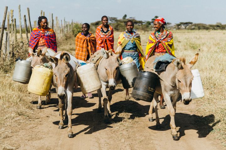 The Untold Suffering of East Africa’s Donkey Community Owners!