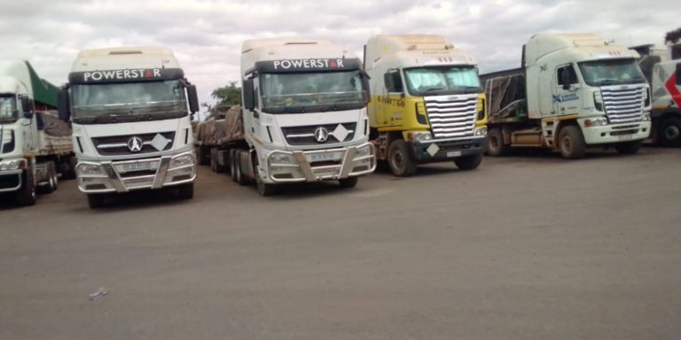 Zimbabwe’s Cross Border Truck Drivers Smuggling COVID-19 Cases