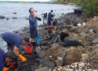 The oil leaked from a Japanese vessel after it had been in the reefs for about 12 days.