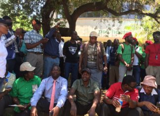 Zimbabwe workers on strike