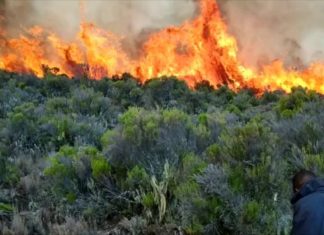 Kilimanjaro on fire