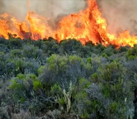Kilimanjaro on fire