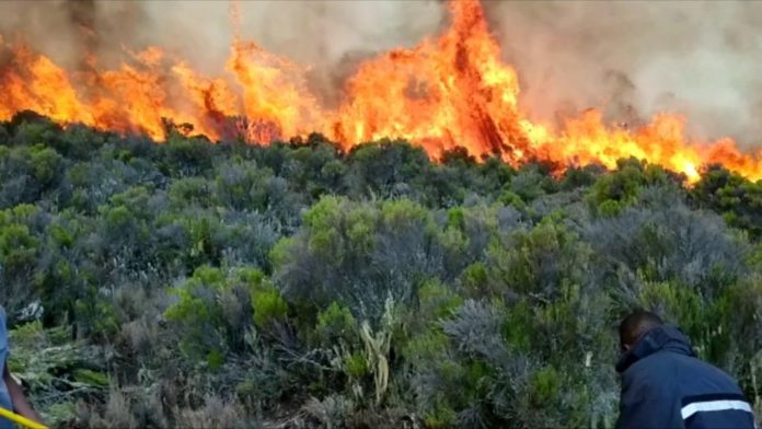 Kilimanjaro on fire