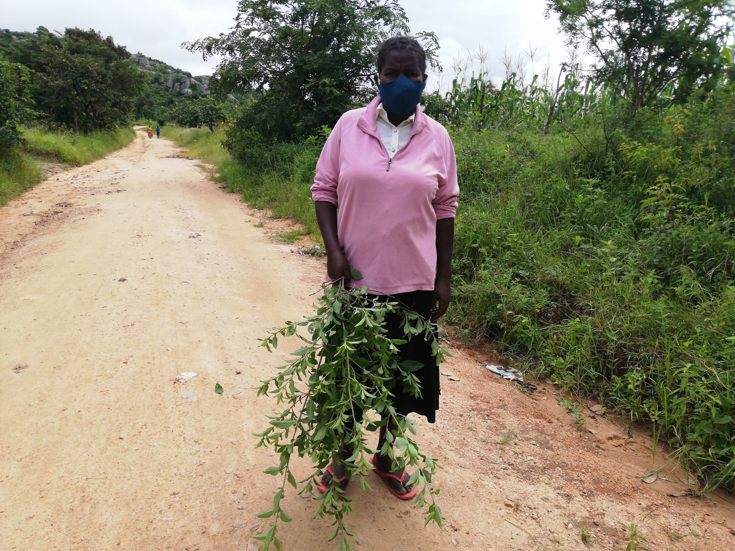 Woman holding Zumbani, a woody shrub