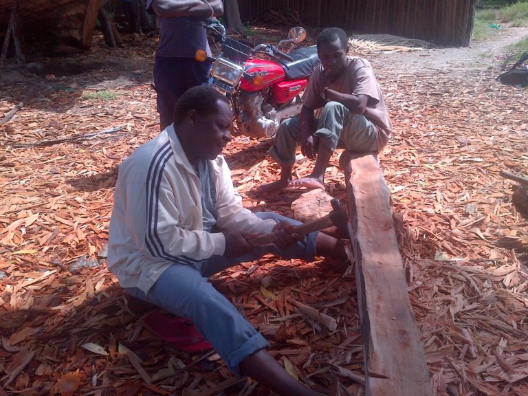 China’s Appetite For Furniture Depletes Africa’s Rosewood Trees