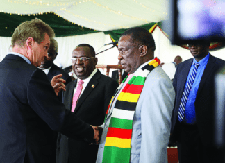 President Mnangagwa once took a dig at Ambassador Olkkonen over allegations of interference