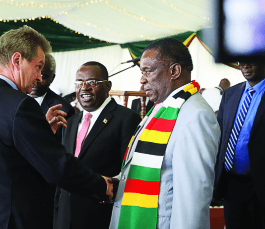 President Mnangagwa once took a dig at Ambassador Olkkonen over allegations of interference