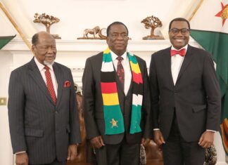 Zimbabwe’s President posing for a photo with his guests.