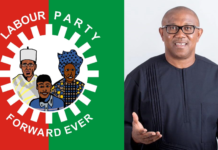 The Labour Party logo and Peter Obi